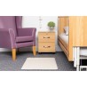Wireless Floor Plus Alertamat, Fall Prevention Mat for Dementia and High-Risk Users - CareSupplies.com Medical Equipment