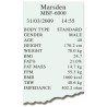 Spare Print Rolls, Compatible with Marsden TP-2100 and TP-2110 Printers - CareSupplies.com Medical Equipment