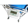 Marsden M-225 Chair Scale, Class III Approved, 250kg Capacity, BMI & BSA Calculation - CareSupplies.com Medical Equipment