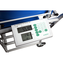 Marsden M-210 Chair Scale, Class III Approved, 250kg Capacity, Multi-Interval Graduations - CareSupplies.com Medical Equipment