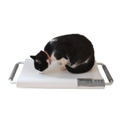 Marsden V-20 Small Veterinary Scale, 20kg Capacity, Ideal for Cats and Small Dogs - CareSupplies.com Medical Equipment