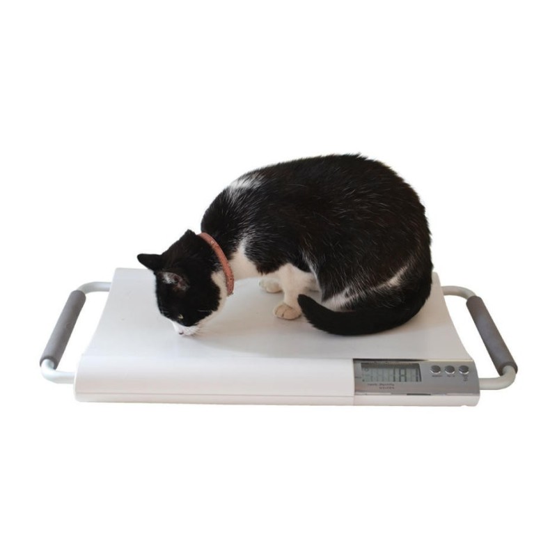 Marsden V-20 Small Veterinary Scale, 20kg Capacity, Ideal for Cats and Small Dogs - CareSupplies.com Medical Equipment