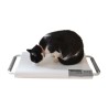 Marsden V-20 Small Veterinary Scale, 20kg Capacity, Ideal for Cats and Small Dogs - CareSupplies.com Medical Equipment