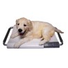 Marsden V-20 Small Veterinary Scale, 20kg Capacity, Ideal for Cats and Small Dogs - CareSupplies.com Medical Equipment