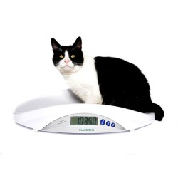 Marsden V-22 Veterinary Scale, 20kg Capacity, Ideal for Cats, Small Dogs and Small Pets - CareSupplies.com Medical Equipment