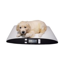 Marsden V-25 Veterinary Scale, 25kg Capacity, Ideal for Cats and Small Dogs. - CareSupplies.com Medical Equipment