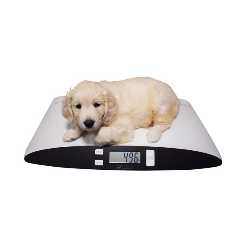 Marsden V-25 Veterinary Scale, 25kg Capacity, Ideal for Cats and Small Dogs. - CareSupplies.com Medical Equipment