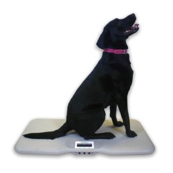 Marsden V-110 Veterinary Scale, 150kg Capacity, Lightweight Animal Scale for Larger Pets. - CareSupplies.com Medical Equipment