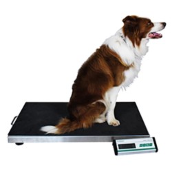 Marsden V-150 Large Veterinary Scale, 150kg High-Precision, Mobile Vet Scale - CareSupplies.com Medical Equipment