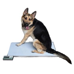 Marsden V-180 Large Veterinary Scale, 180kg Capacity, Stainless Steel Platfor - CareSupplies.com Medical Equipment