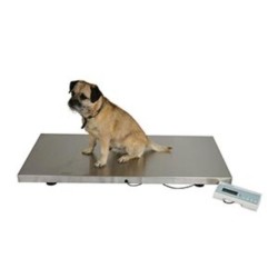 Marsden V-250 Large Veterinary Scale, 250kg Capacity, Stainless Steel Platform - CareSupplies.com Medical Equipment